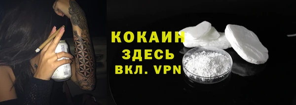 a pvp Дмитровск